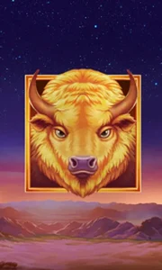 Buffalo's Sun